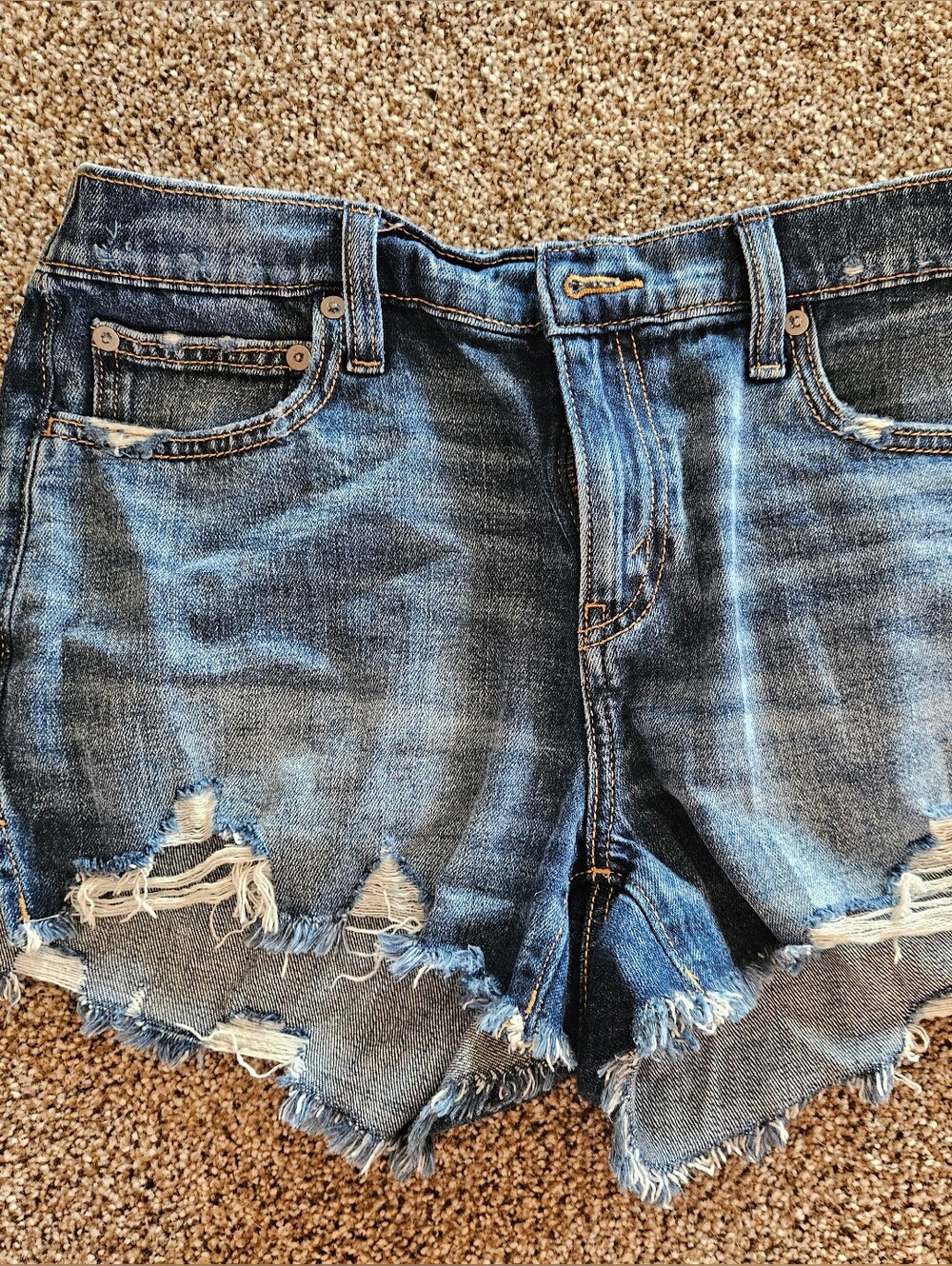 Aerie Shorts